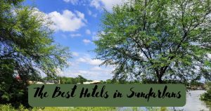 Best Things To Do In Sundarbans