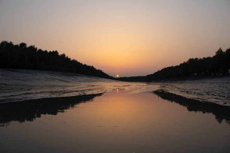 History of Sundarbans [Everything You Need to Know About!]